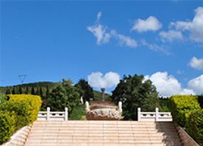 陵园实景