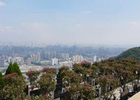 园区风景