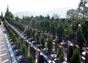 墓区风景