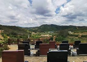 园区风景