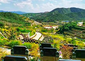 园区风景