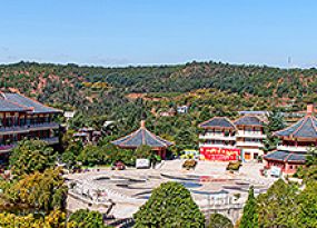 墓区环境