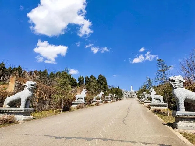 陵园环境