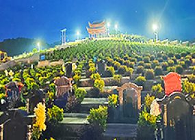 墓园环境